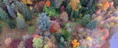 Arboretum de la Martinière