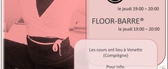 DanceFiber - Cours de Zen Stretching® et Floor-Barre® pour adultes