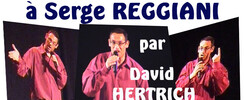 David HERTRICH - Chanteur propose spectacle