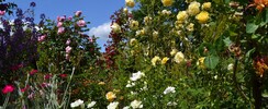 Le jardin des poètes et des anges