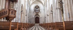 Collégiale Saint-Liphard