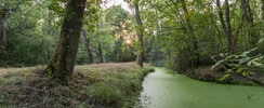 Marais de Labarde