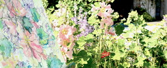 Stage de 4 jours AU JARDIN Aquarelle, PEINTURE,DESSIN, ET...