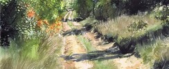 Bernard Völlmy, aquarelliste - Atelier de peinture, cours et stages