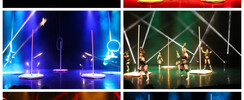 Compagnie EJ - Spectacle de pole dance et de cerceau aérien 