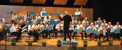 Concert de l'orchestre de mandolines de Remiremont