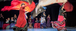 LE FLAMENCO POUR TOUS - FLAMENCO - SEVILLANAS - DANSE GIPSY FIT