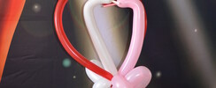 Michel MaLLegan - Magicien et Sculpteur de ballons