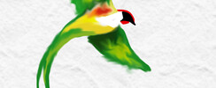 Pica Pao - Pica Pao, Original Brazilian Songs