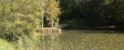 Etang de Caumont
