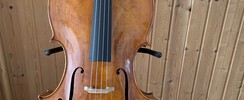 Conseiller artistique - Instruments à corde