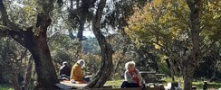 O MOT HABILIS - association d'ateliers d'écriture ludiques et littéraires