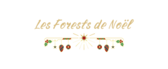 NAKAMA - Music & Friends - Les Forests de Noël