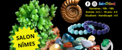 Salon Minéraux Fossiles Bijoux de Nîmes