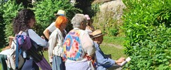 stage de dessin à Beaugency