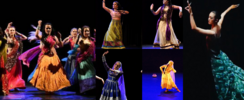 ASSO MAYADHARA  - spectacles de danses d'Inde, d'Asie ou du Monde sur commande