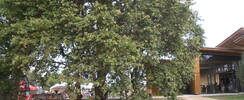 Réserve Naturelle d'Arjuzanx