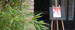 Magali Mouret - Cours de dessin/peinture