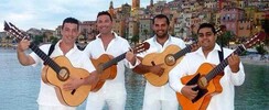 Nino gipsy - Musiciens Gipsy
