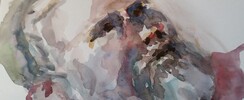 Stage de dessins et de modèle vivant