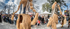 La marche des géants - Animations de rue, corsos, carnavals et fêtes de quartiers