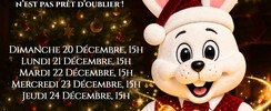 Un drôle de Noël - Spectacle de Noël