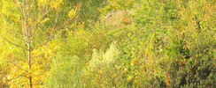 Parc floral et animalier Oihanartea