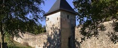 Chartreuse du Liget