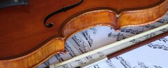 L'Ami Violon - Cours de Musique
