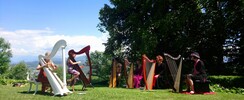 le petit conservatoire de la harpe - cours de harpe celtique, Bientot a VANNES