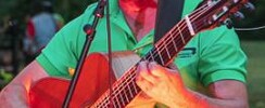 Richard Palomo - Cours de guitare, Ukulélé, chant