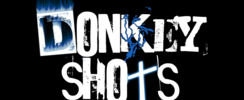 Donkey Shots - Prestation concert