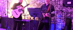 Gipsy dreams - Gipsy Flamenco Rumba
