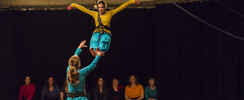 Stage de danse-voltige sur 2 jours