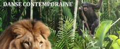 Groupe Art's - Incursion dans le monde animal