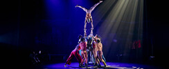 Moya - Zip Zap Circus