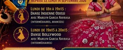 Navrasa: Danses de l'Inde - Cours de danses indiennes