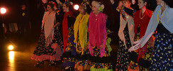 Academia MADSOLEIL Flamenco - Ateliers de danse SEVILLANAS