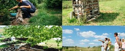 Jardin simply permaculture