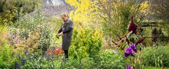 Les jardins du Cot