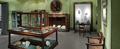 Les Salons du Collège du Puy / Le Musée d'histoire