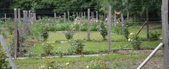Eden et Sens