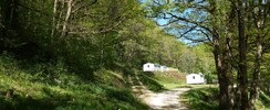 le Masnaut