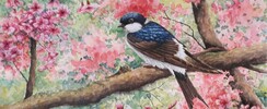 L'atelier de Clarisse - Cours de dessin/peinture