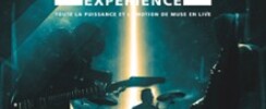 The Muse Experience