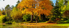 Concours photos 