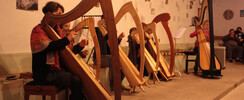 L'Oiseau-Lyre - cours de harpe, traverso