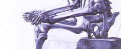 Véronique LARCHER - Formation anatomie/physiologie 2025/2026