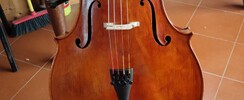 Représentant en lutherie - Présente Violoncelles neufs et anciens