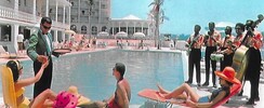 ESTATE - Projet Live parfait pour toute occasion